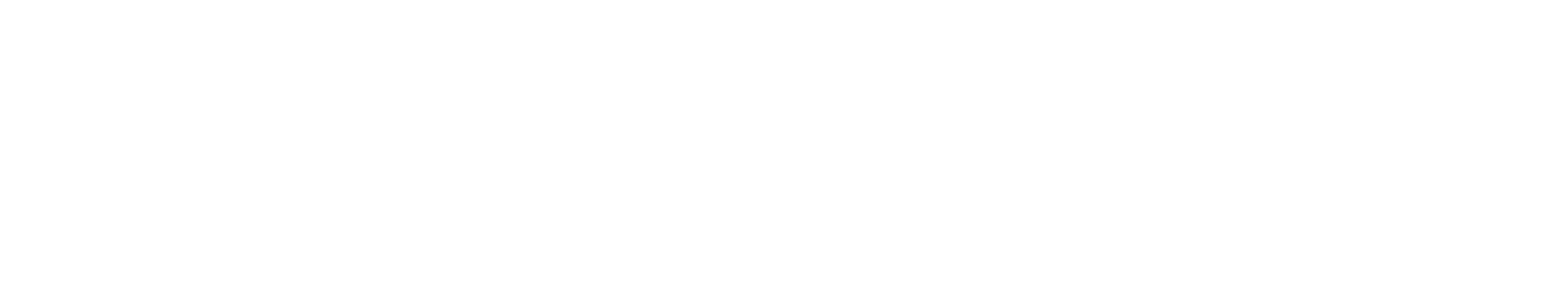 Councl